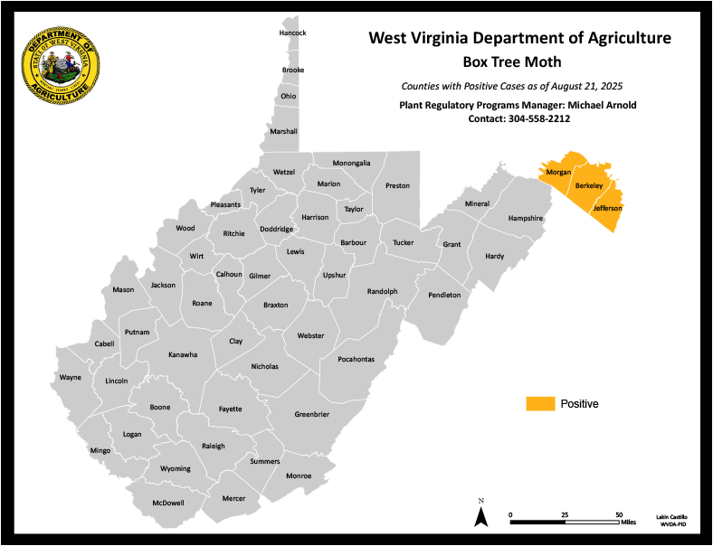 Image of positive WV counties for Box Tree Moth