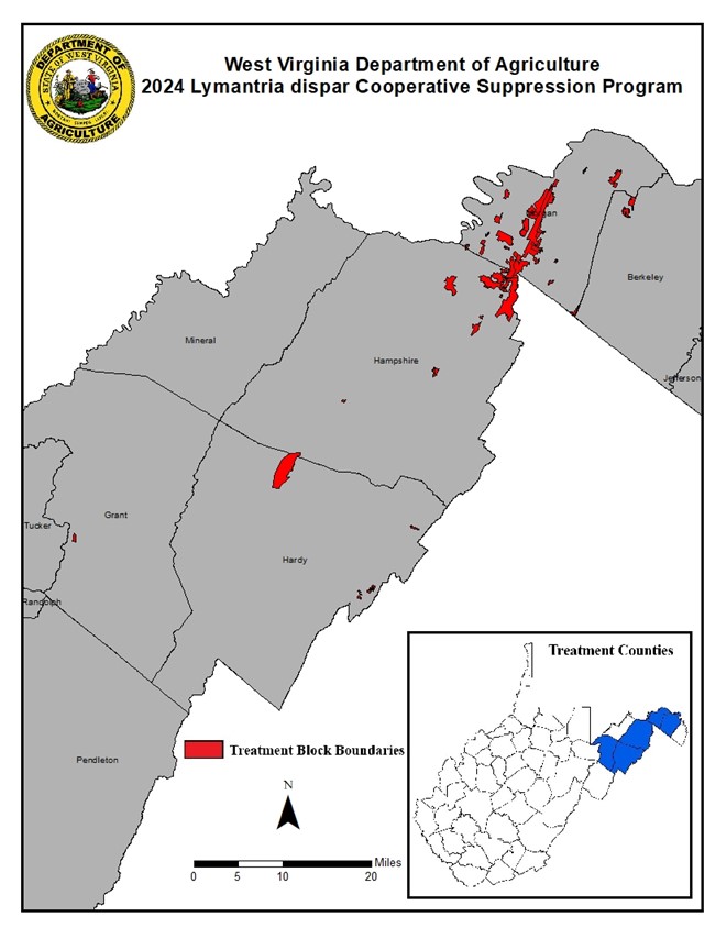 Zoomed in image of the Eastern Panhandle of West Virginia with indicated area for the Spongy Moth Cooperative Suppression Program